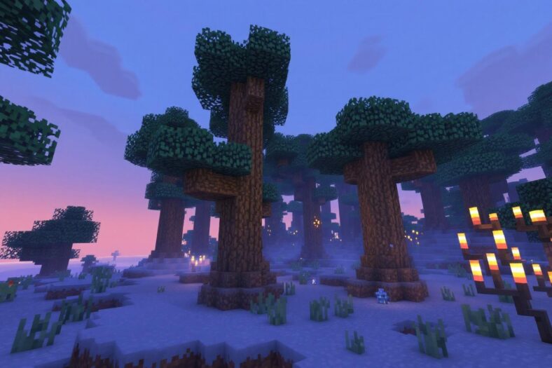 Comment récupérer l'enchantement d'un objet dans Minecraft : guide complet